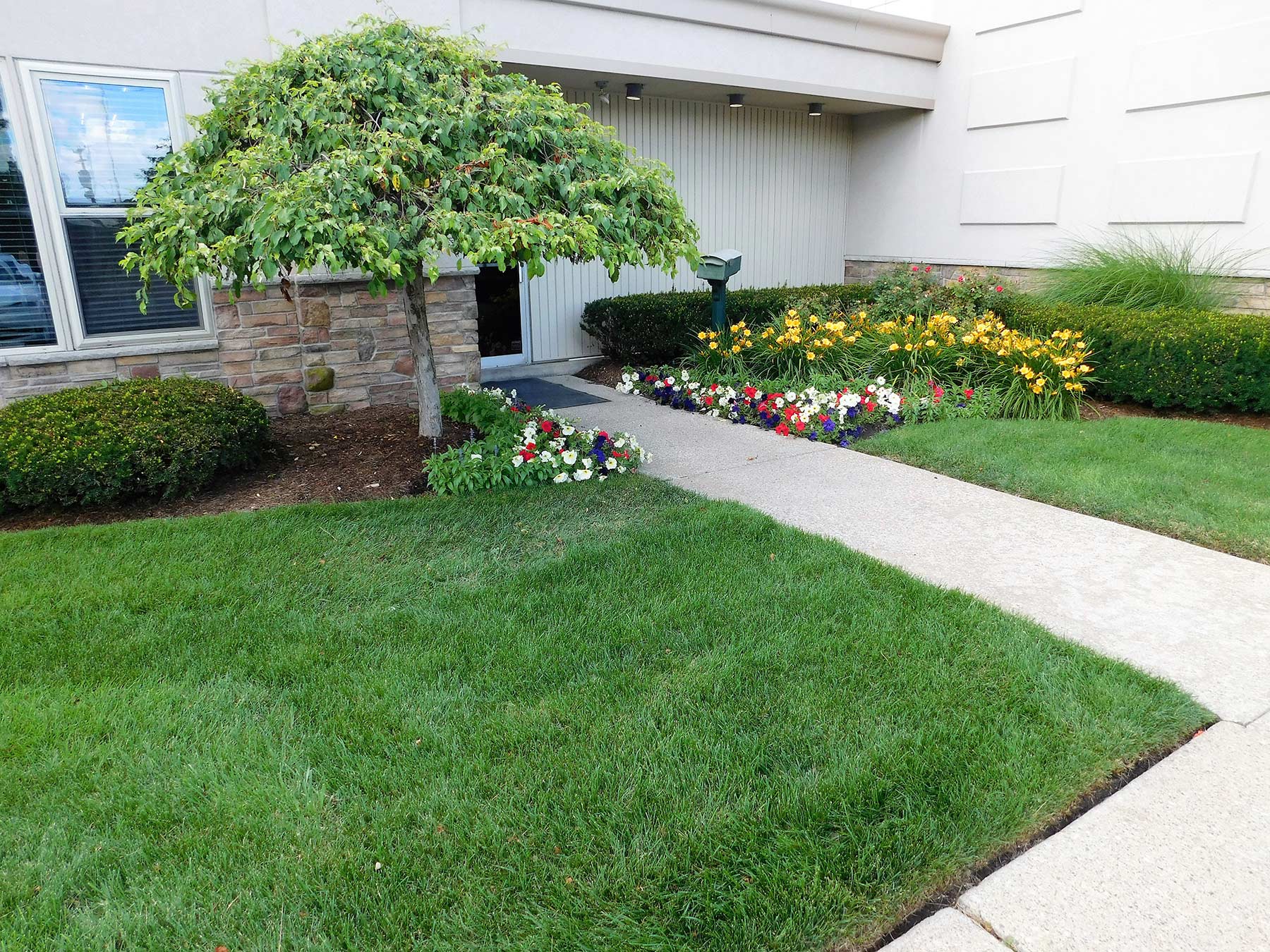 Photo of brilar landscaping at office park