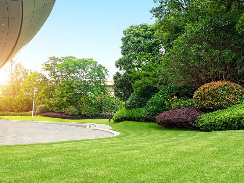 Photo of office park landscaping