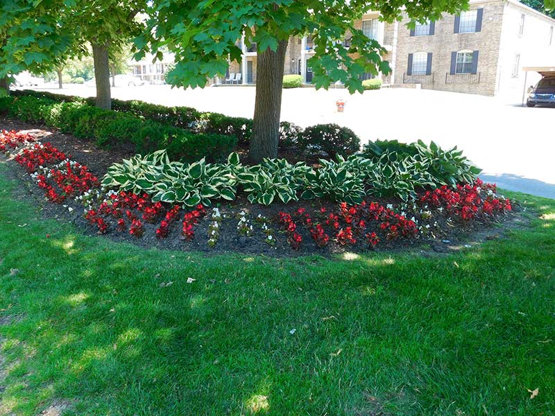 Photo of brilar tended landscaping with flowers and hedges