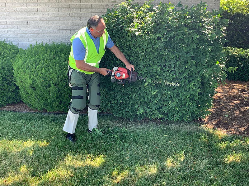 Photo of brilar employee pruning hedges